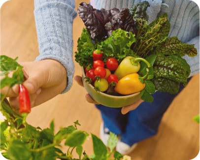 The freezer-first harvest guide: preserving late-summer herbs and produce