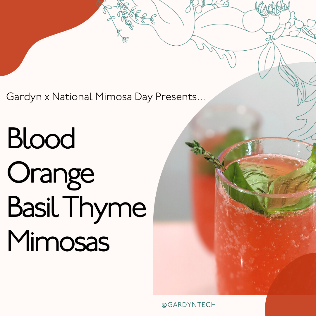 Mimosa Recipe: Blood orange, thyme, and basil