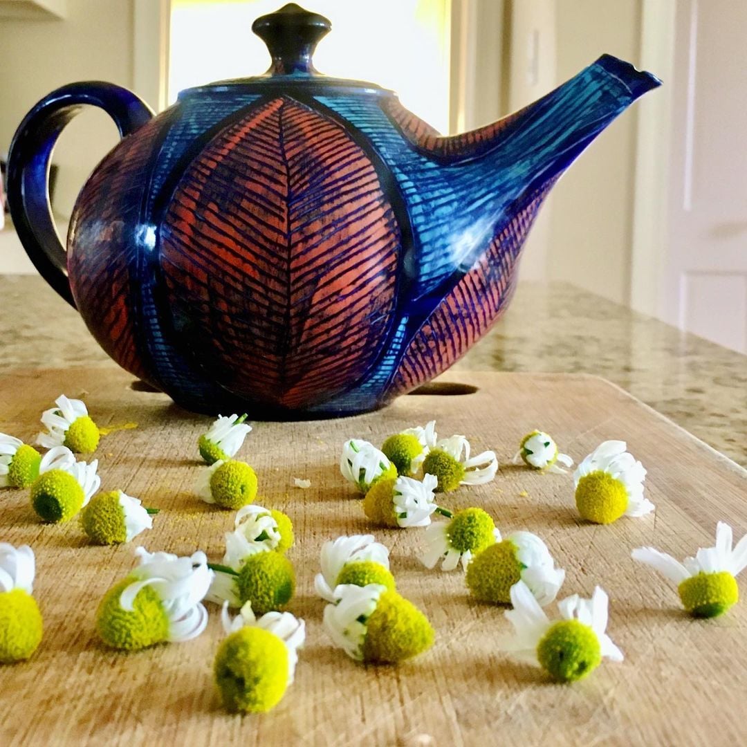 Grow Your Own Herbal Tea Gardyn