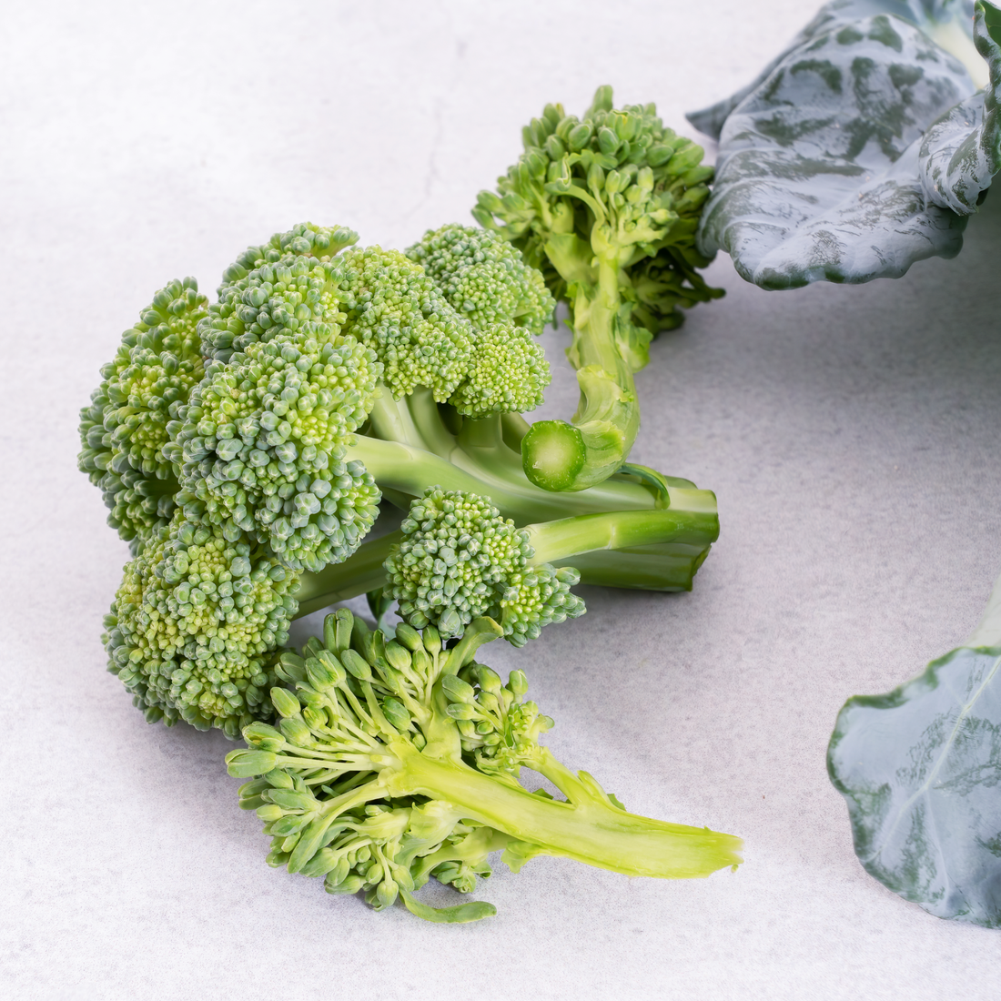Mini Broccoli yCube - personal-sized broccoli heads