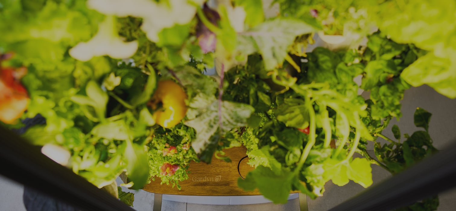 Beyond the salad bowl