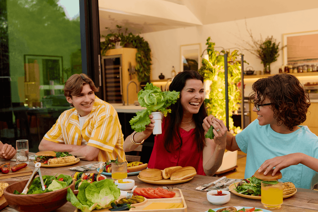 Menopause and the plate: 6 leafy greens that support women’s health through the transition