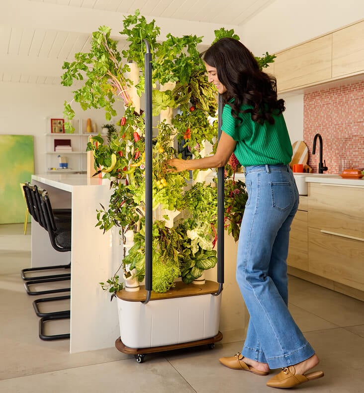 Best indoor hydroponic systems: buyer's guide