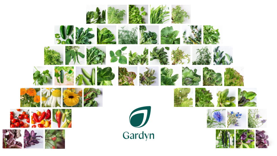 Grow and Eat the Gardyn Rainbow