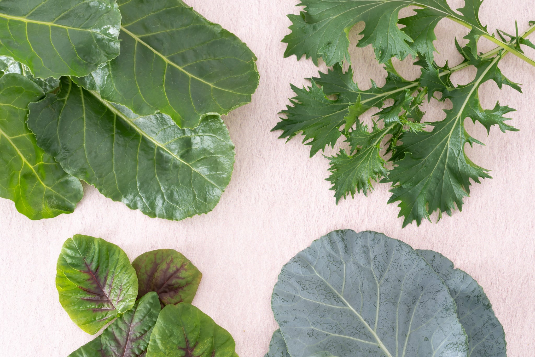 Boost performance and recovery: discover Gardyn's top plants for athletes