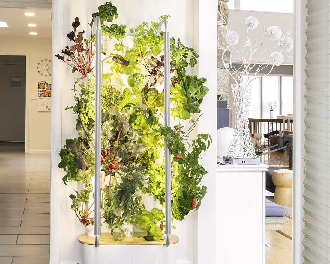 LED Lights for Indoor Gardening - A Critical Success Factor