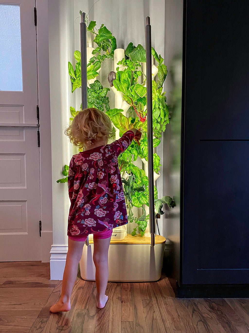 Why kids eat the vegetables they grow themselves