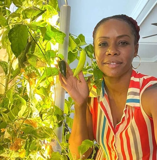 Tower gardens & hydroponic systems: what you need to know before you buy