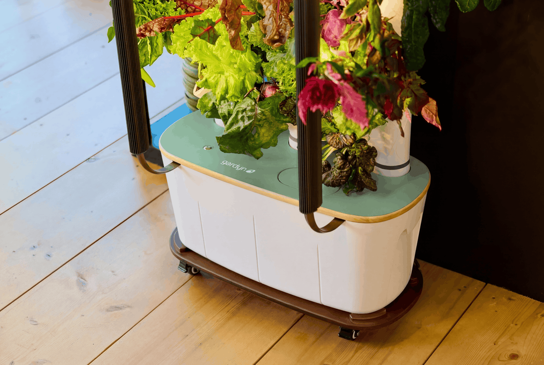 Close-up of a Gardyn water tank on its rolling base, with leafy greens and herbs growing above