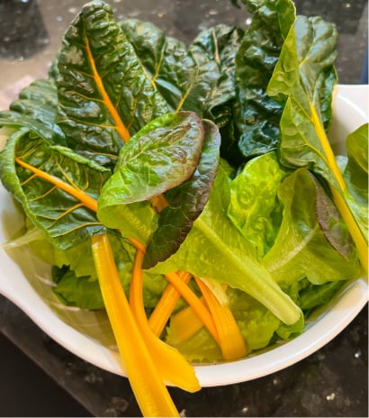 Brown thumb confessions: how I finally grew something