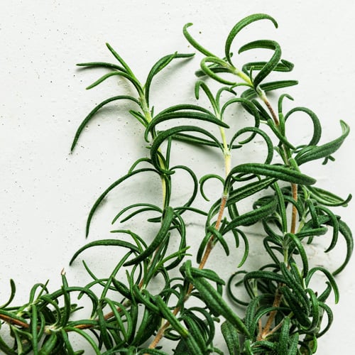 Indoor herb garden kit: complete guide to growing herbs at home