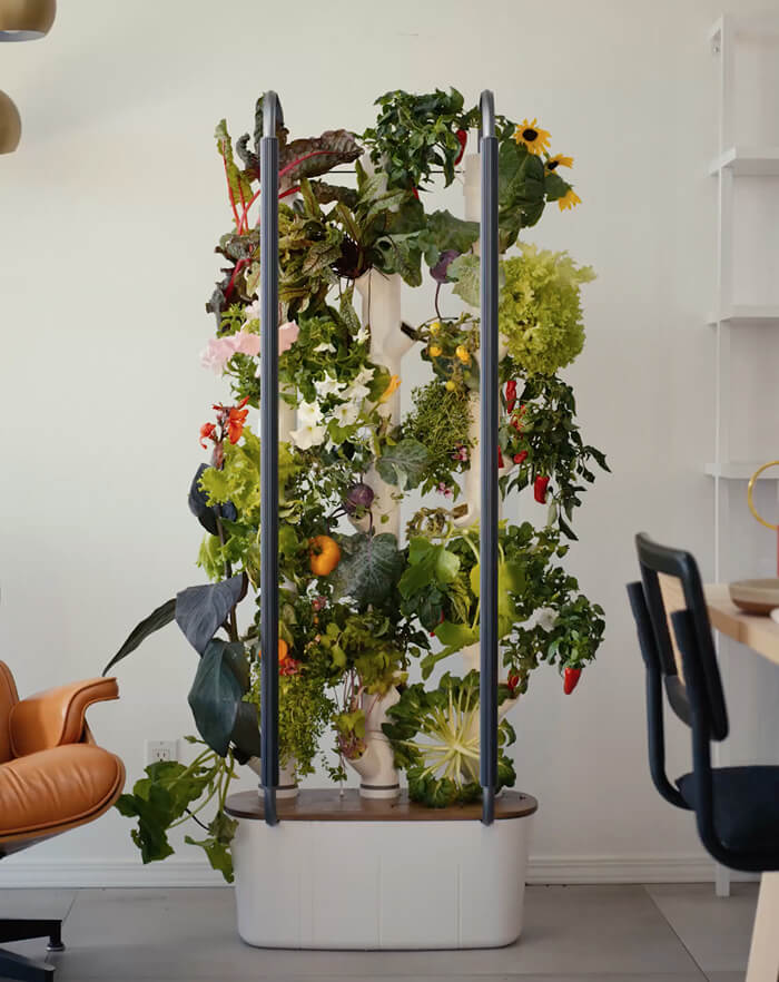 Automatic indoor garden systems: from self-watering planters to full automation