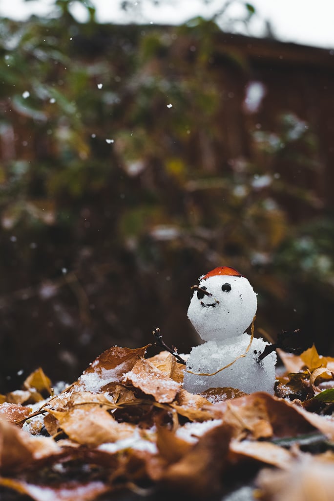 10 Ways to Celebrate Sustainably This Season