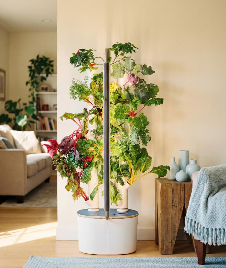 Earth Day: How indoor gardening saves water & reduces waste