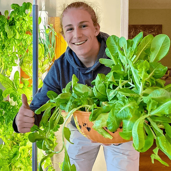 Indoor gardening made easy: real answers to common growing concerns