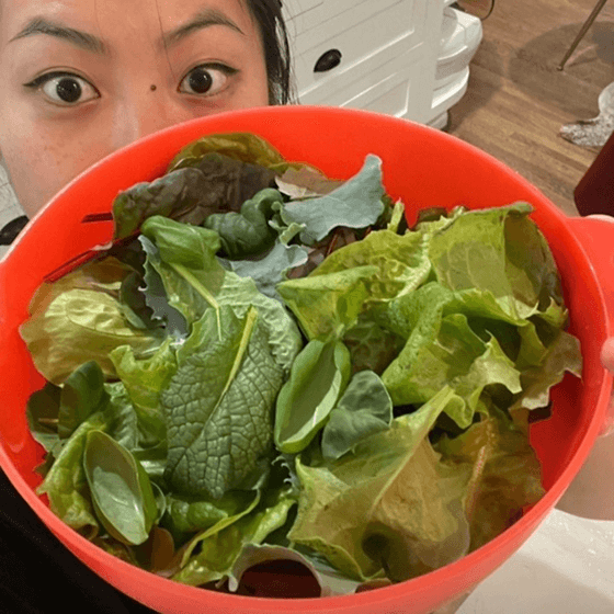 Zero experience required: start growing food this weekend