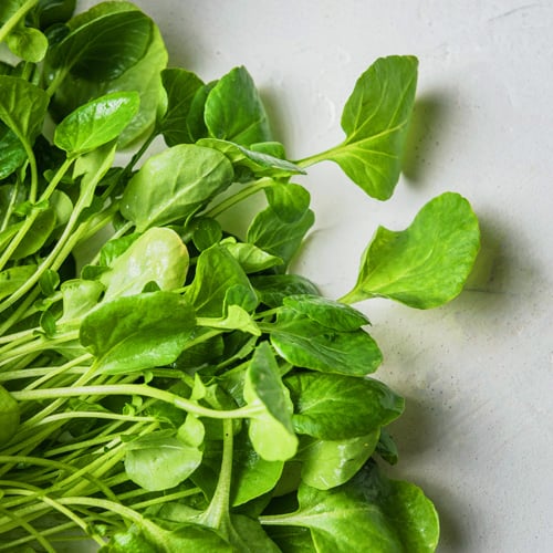 Spring fatigue is real: the greens that help you recover from winter