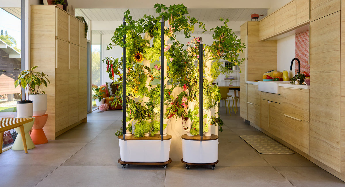How much electricity does an indoor garden use? A plain-English guide