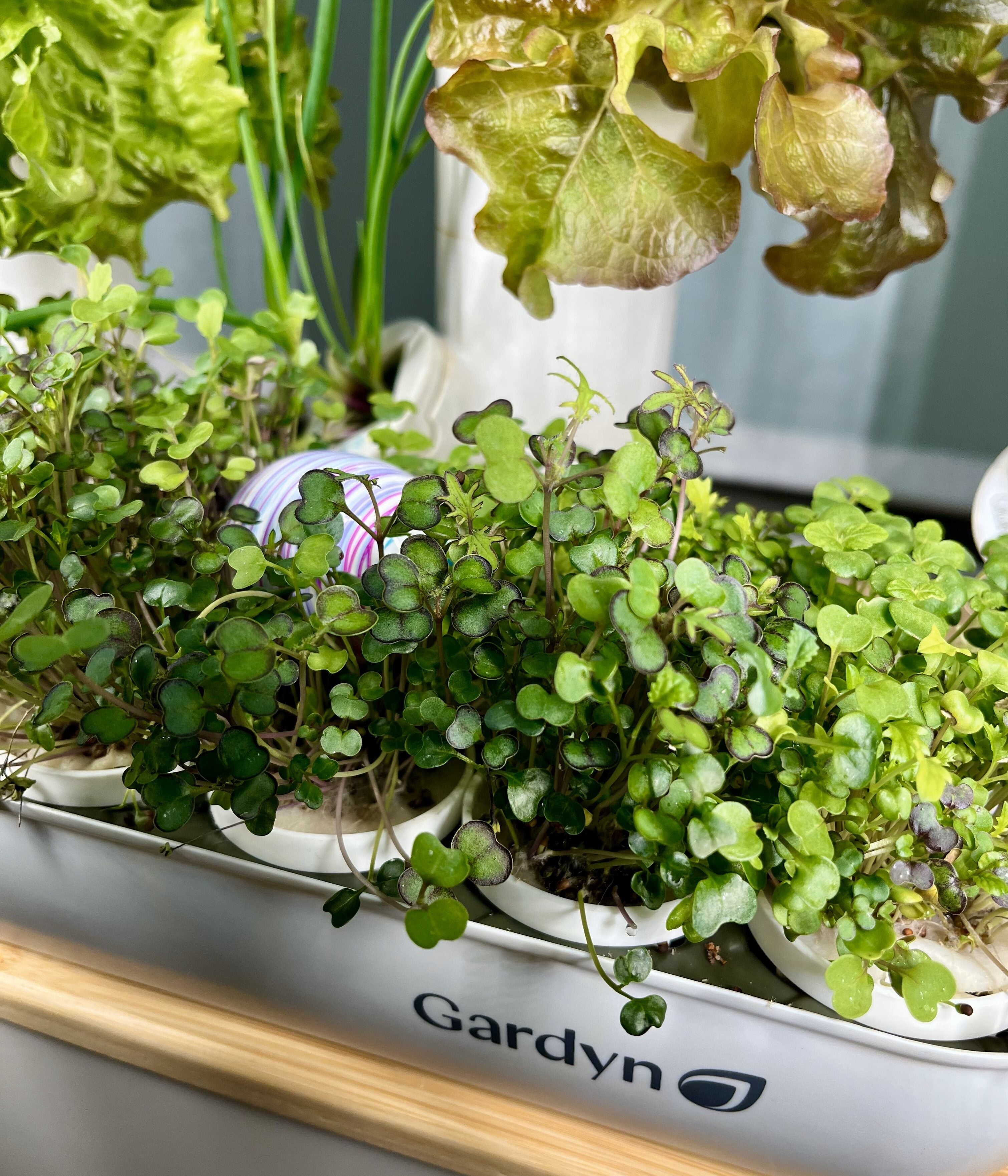 Is AeroGarden owned by Scotts Miracle-Gro? A full ownership history