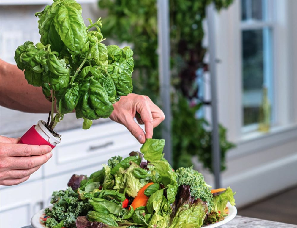 Is hydroponic growing better for the environment than soil farming?