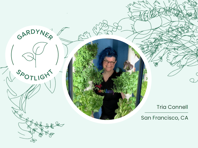 Gardyner Spotlight: Tria Connell Uses Gardyn Harvests to Nourish Rescued Rabbits