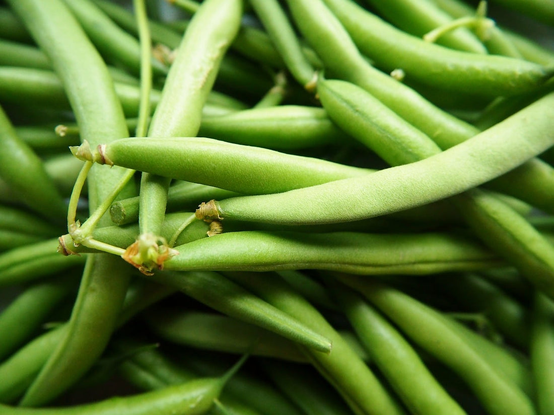 Green bean recall: canned, frozen, and fresh safety risks explained