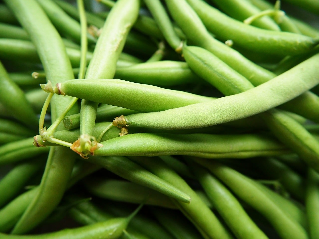 Green bean recall: canned, frozen, and fresh safety risks explained