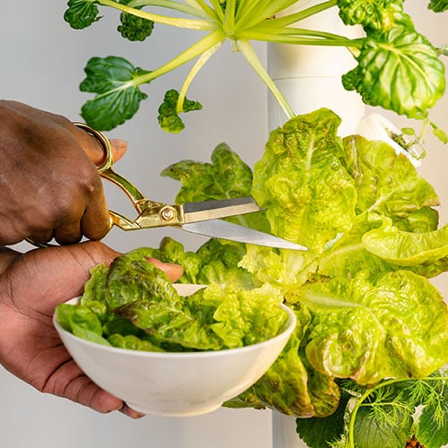 Salad recipes: how to build great salads and actually eat more vegetables