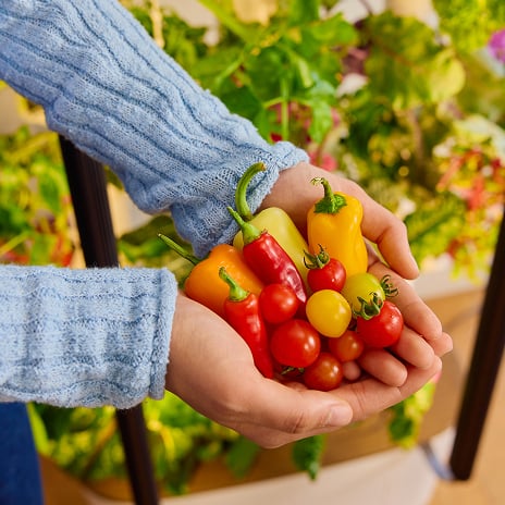 Earth Overshoot Day 2026 is July 30. Food is the lever you actually control.