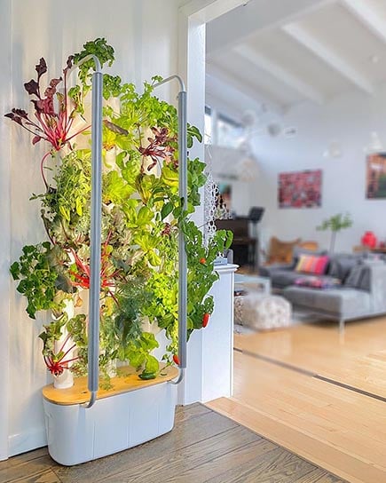 LED grow lights: complete buyer’s guide for indoor plants and hydroponics
