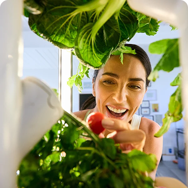 How to choose a smart garden in 2026: 10 questions to ask before you buy