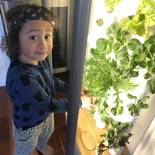 Picky eaters: how growing their own changed everything