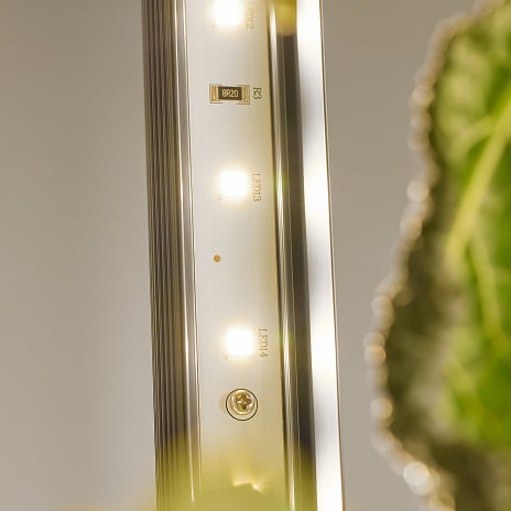 Full spectrum grow lights: what plants need and why it matters