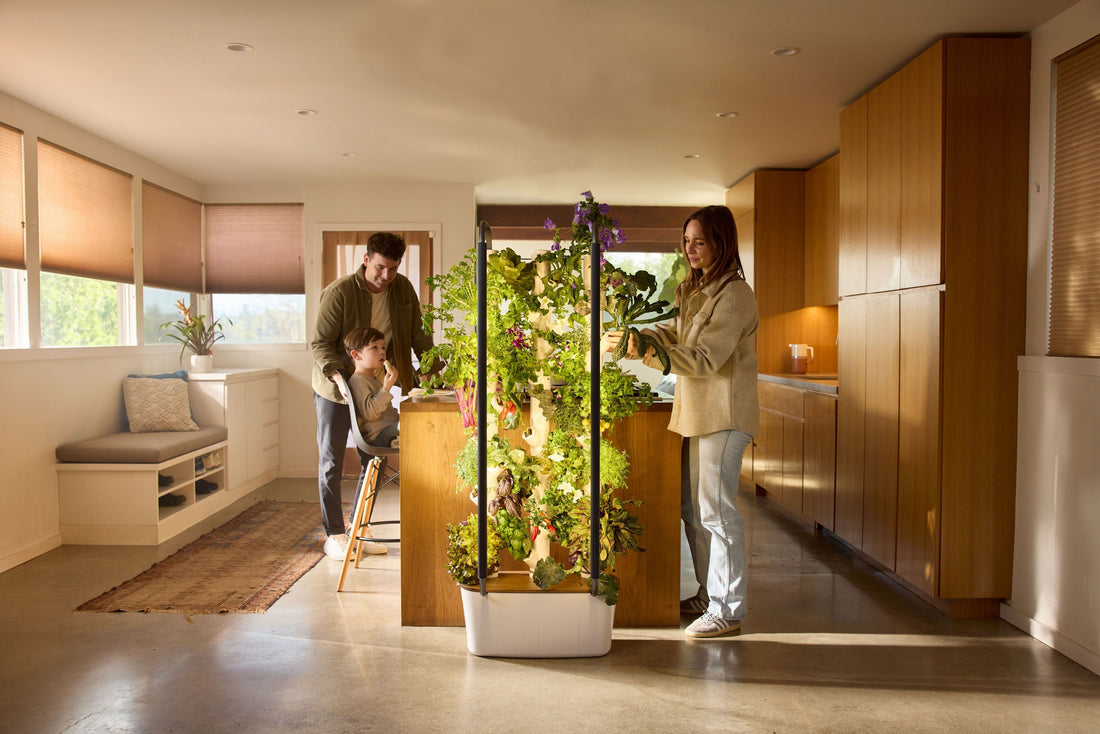 Gardyn Home in an open kitchen while a family cooks and harvests