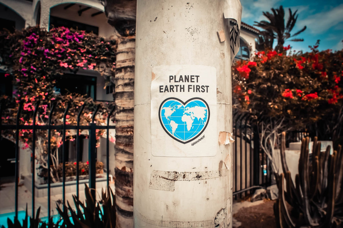 3 easy ways to help the environment this Earth Day