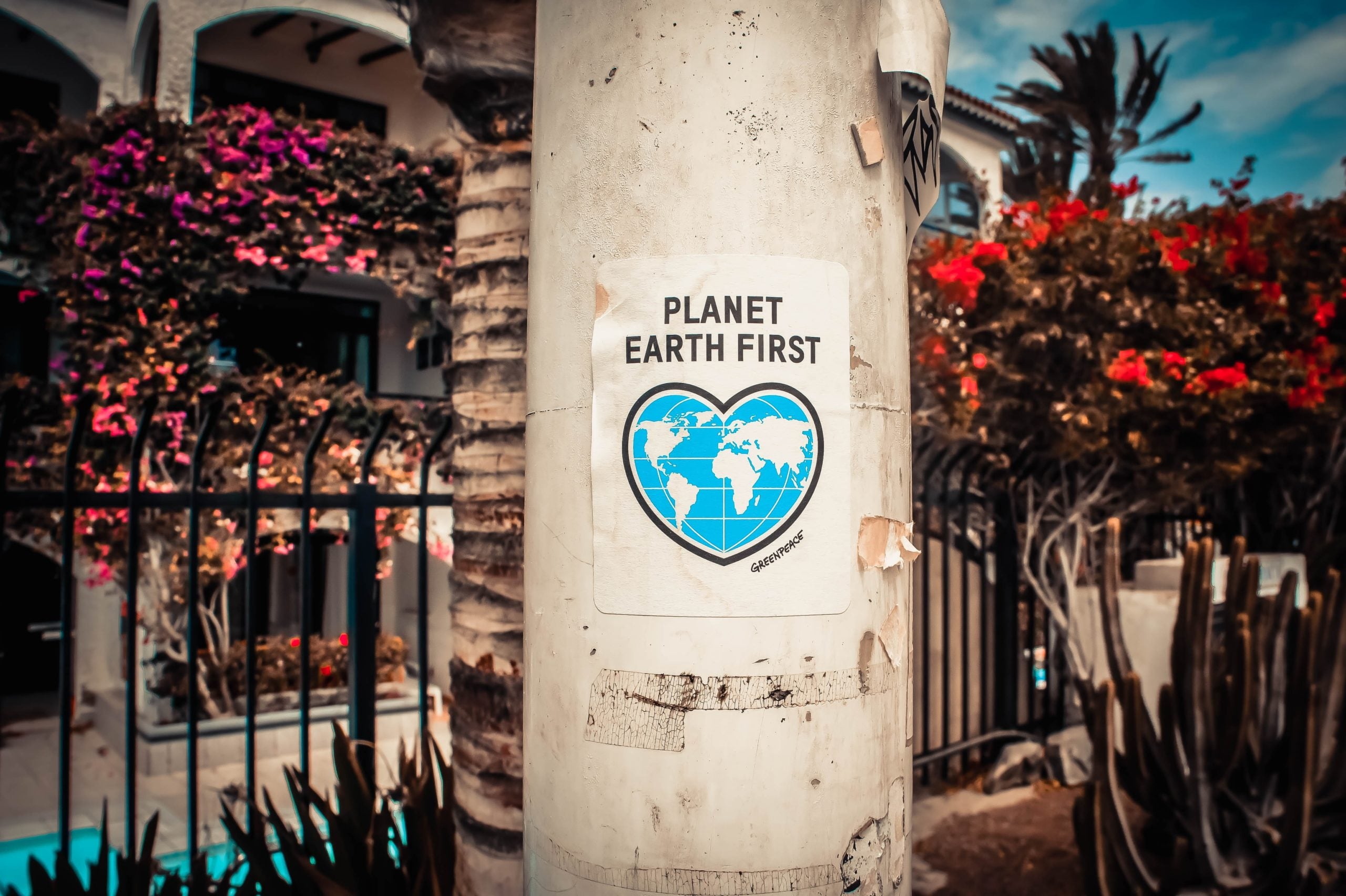 3 easy ways to help the environment this Earth Day