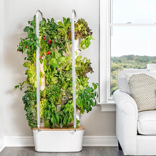 Vertical hydroponic systems: design, setup, and what to grow