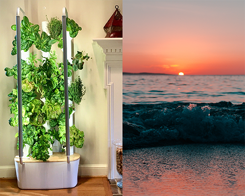 Keep Your Plants Healthy While Away - Vacation Mode is an Innovation in Growing.