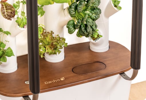 The 5-minute daily garden: what indoor growing actually takes