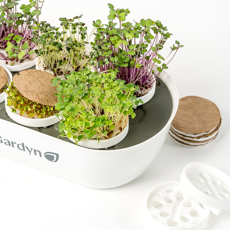 Gardyn Microgreens Complete Kit tray with mature microgreens ready for harvest