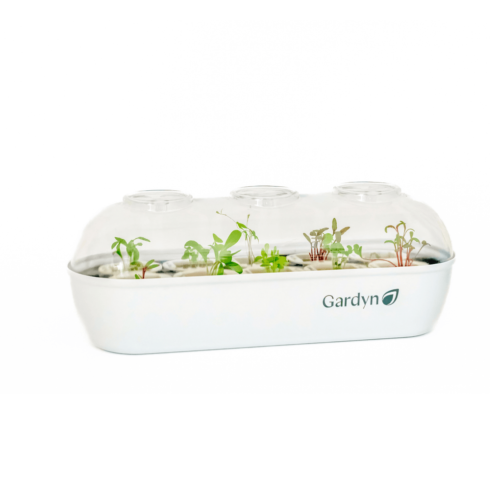 Gardyn Sprout Nursery tray holding multiple yCubes ready for germination