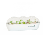 Gardyn Sprout Nursery tray holding multiple yCubes ready for germination
