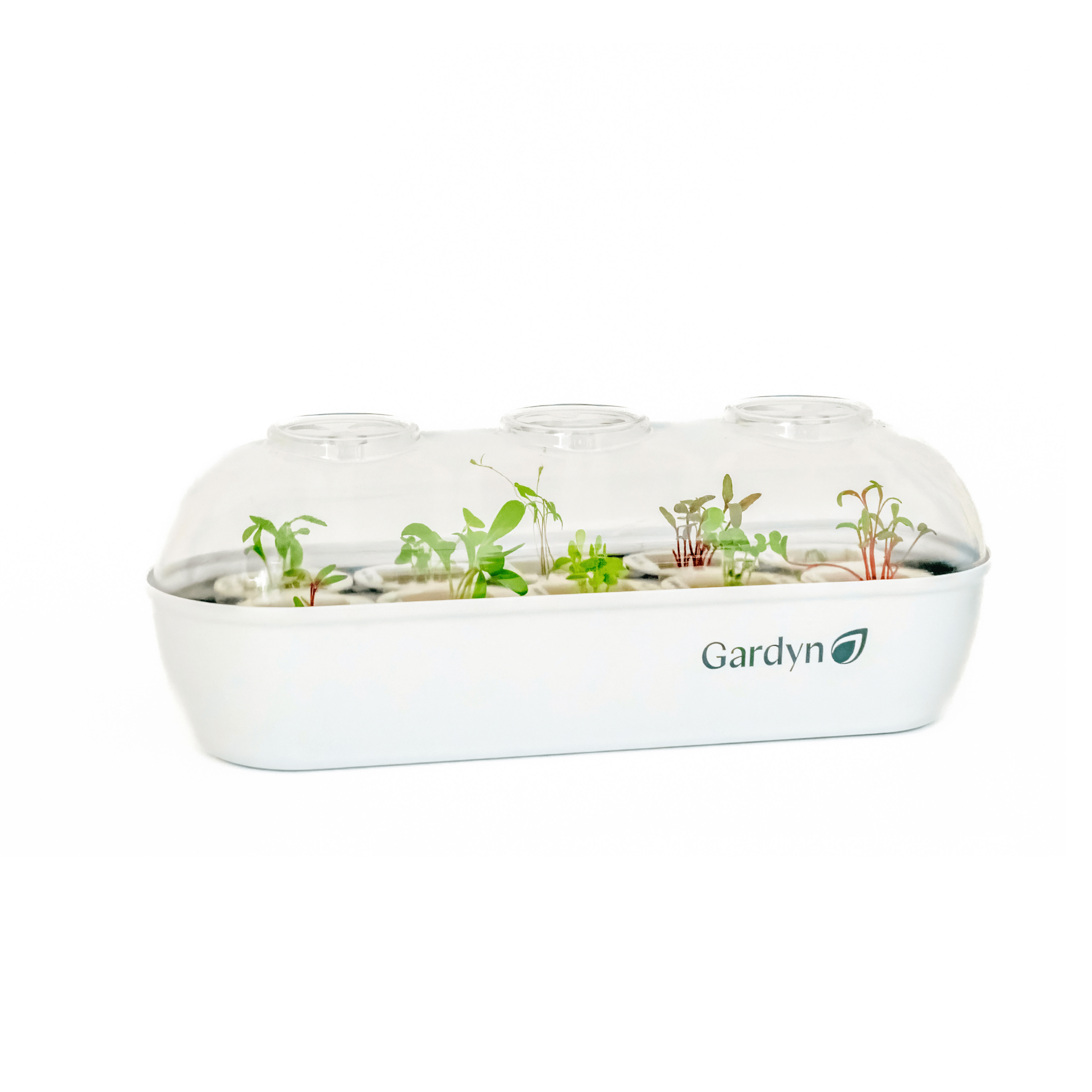Gardyn Sprout Nursery tray holding multiple yCubes ready for germination