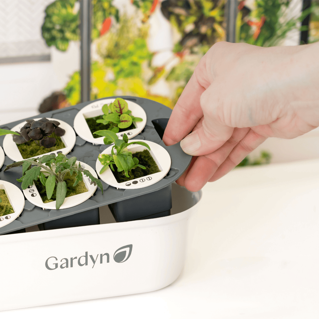 Gardyn Sprout Nursery showing seedling growth stages from sprout to ready-to-transplant