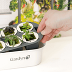 Gardyn Sprout Nursery showing seedling growth stages from sprout to ready-to-transplant