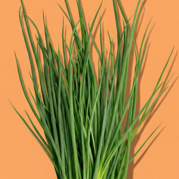 Chives