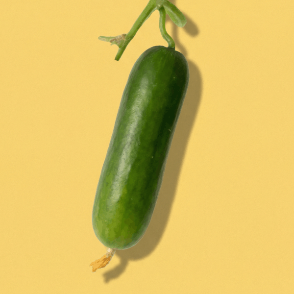 Cucumbers
