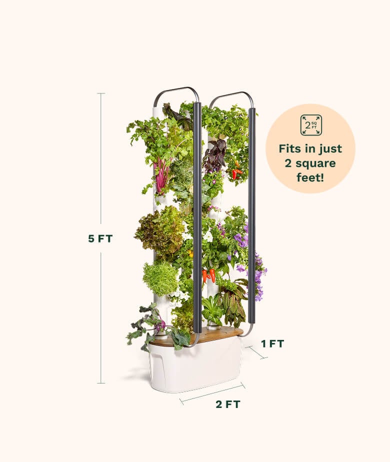 Close-up of Gardyn Home 4.0 white growing columns with vibrant herbs and leafy greens
