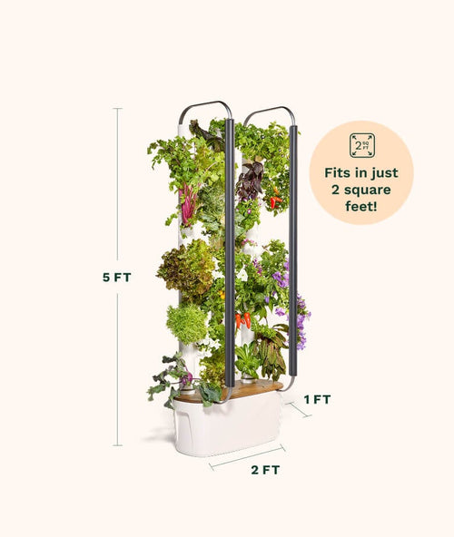 Close-up of Gardyn Home 4.0 white growing columns with vibrant herbs and leafy greens
