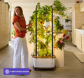 Used - Certified Good Gardyn Home 4